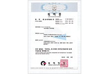 Certificate of a patent for Car BodyWork Light
